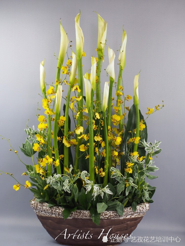 金球奖候选竞争激烈,年度最佳花落谁家