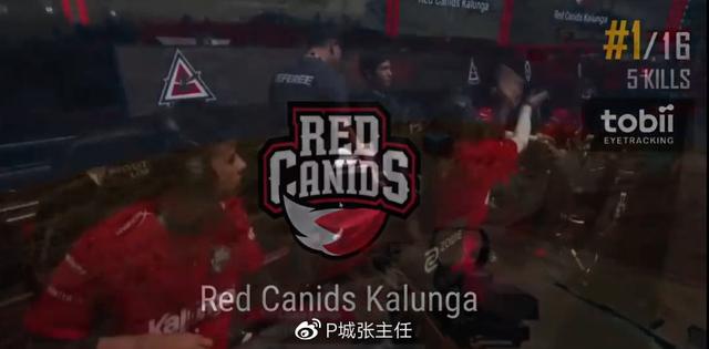 电竞黑马战队逆袭成功挺进半决赛